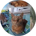 Mike Atkinson Avatar