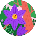 Carolyn Foley Avatar